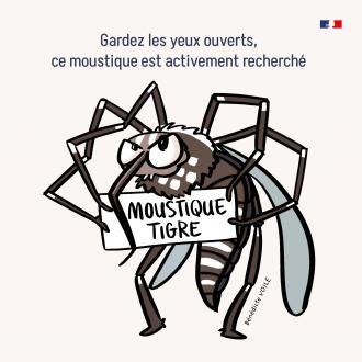 Les dangers du Moustique Tigres ! 
