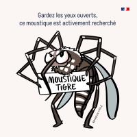 Les dangers du Moustique Tigres ! 
